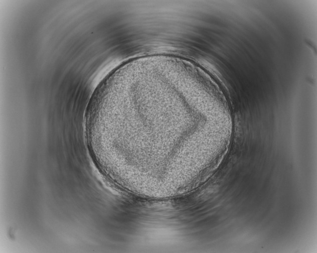 X0000101141047200807251022