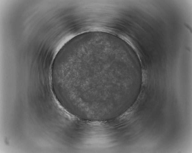 X0000101141048200807251022