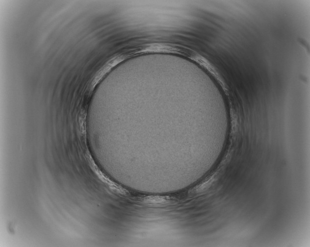 X0000101141049200807251022