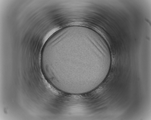 X0000101141050200807251022