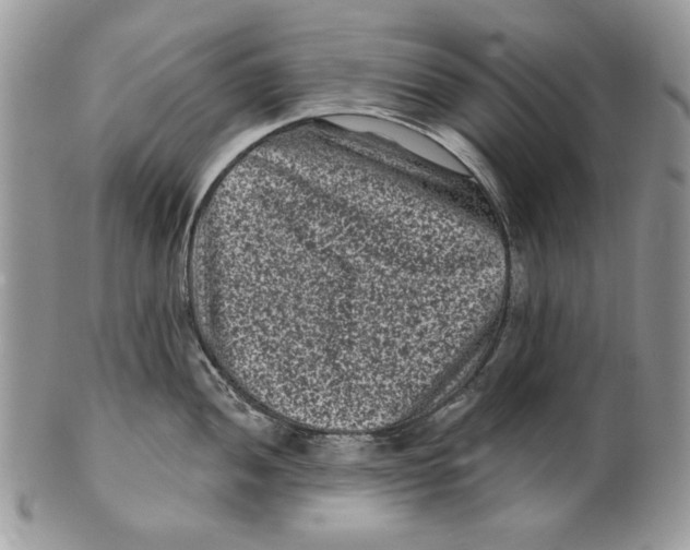 X0000101141052200807251022