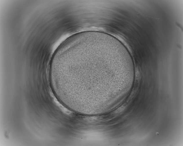 X0000101141054200807251022