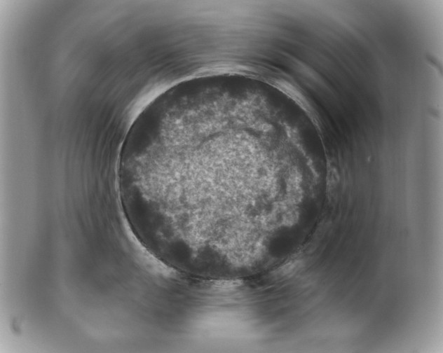 X0000101141055200807251022