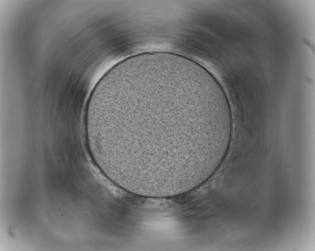 X0000101141056200807251022