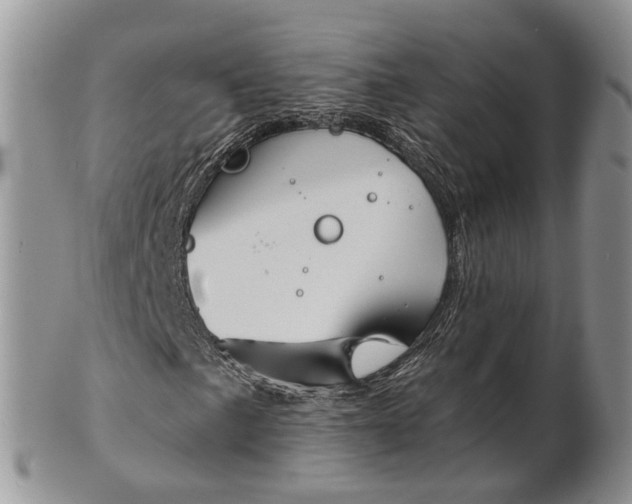 X0000101141057200807251021