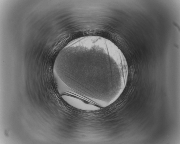 X0000101141060200807251021