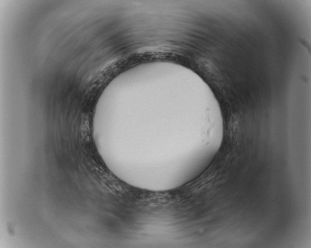 X0000101141062200807251021