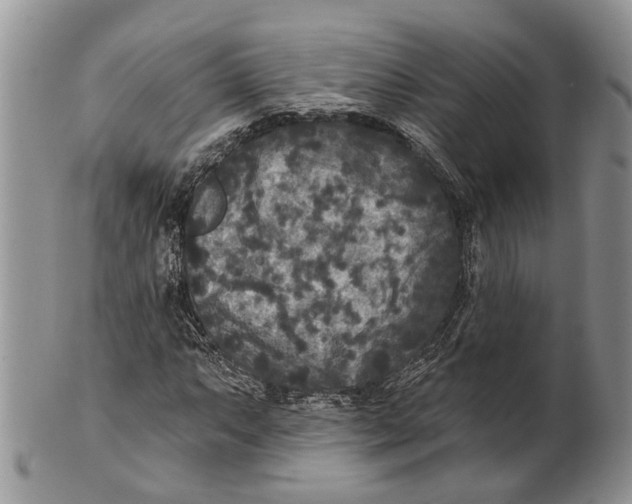 X0000101141063200807251021