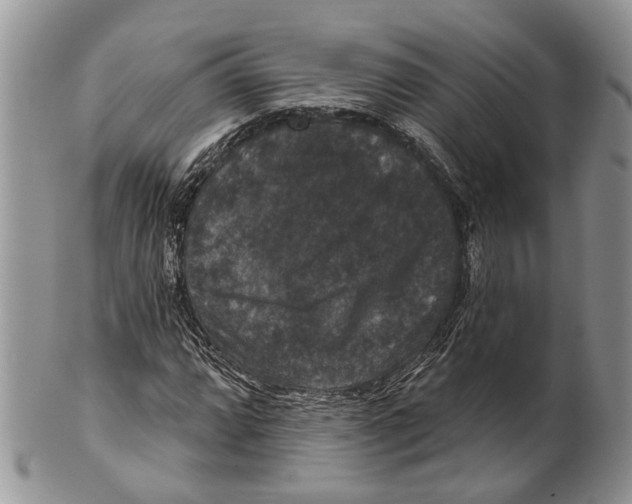 X0000101141064200807251021