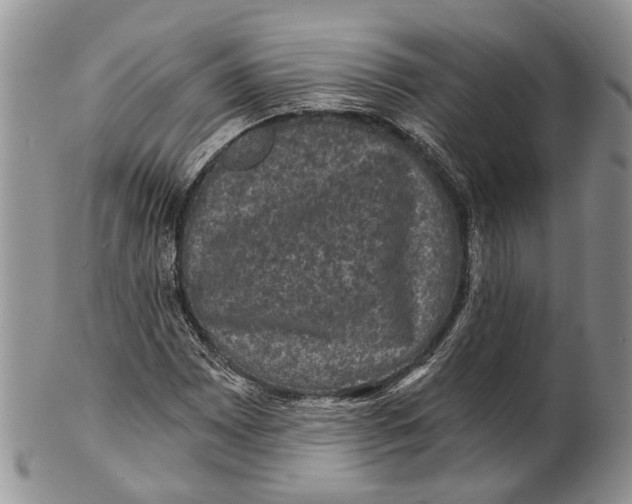 X0000101141065200807251021