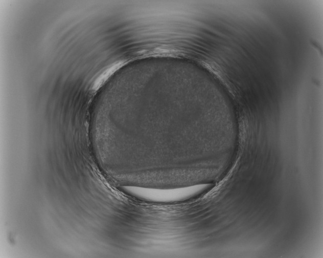 X0000101141066200807251021