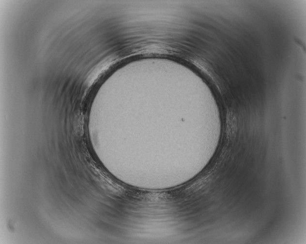 X0000101141067200807251021