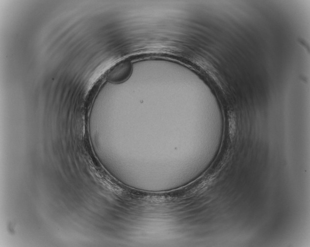 X0000101141069200807251021