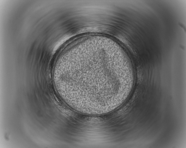 X0000101141070200807251021