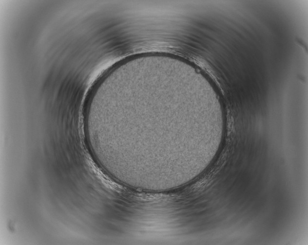 X0000101141072200807251021