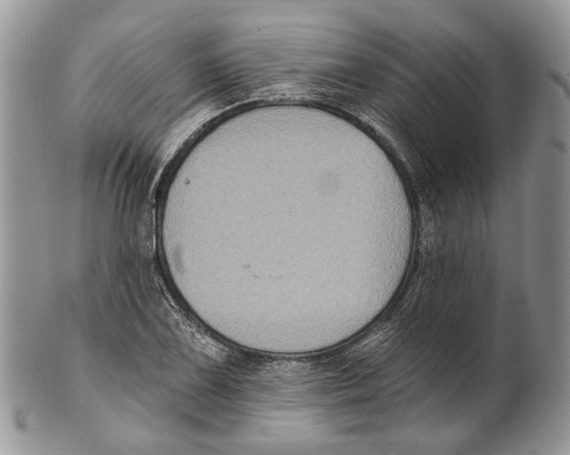 X0000101141075200807251021