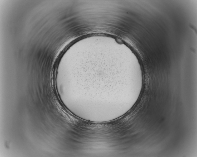 X0000101141076200807251021