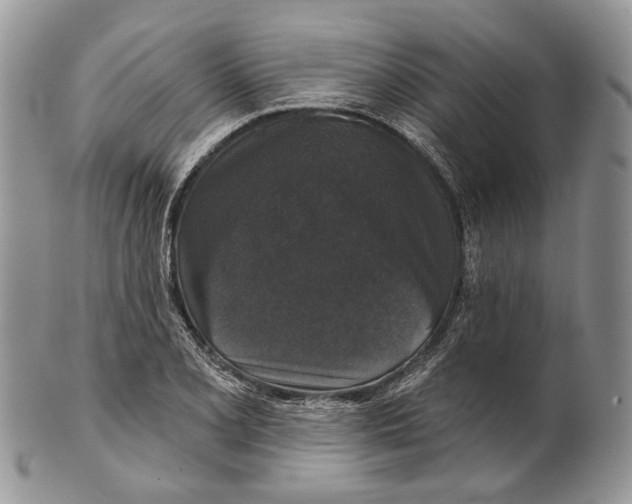 X0000101141077200807251021