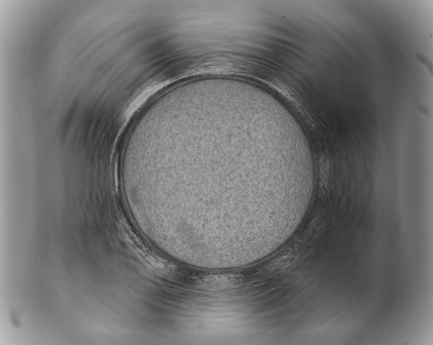 X0000101141078200807251021