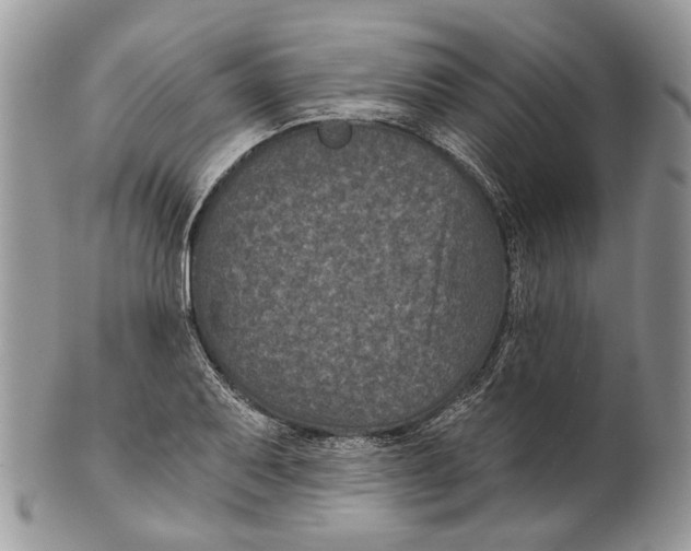 X0000101141079200807251021