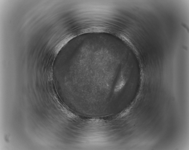 X0000101141081200807251021