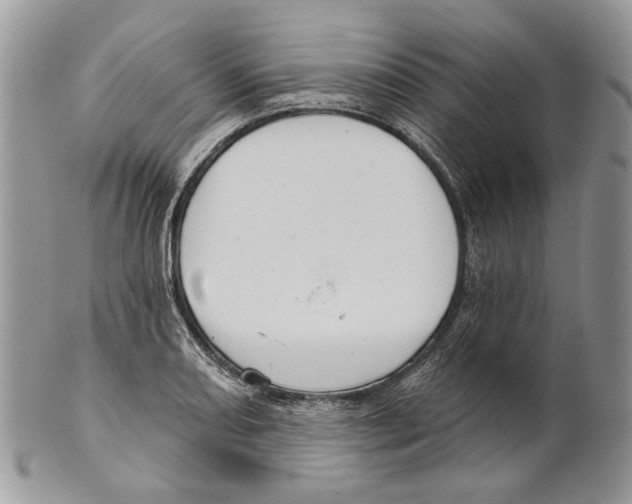 X0000101141082200807251021