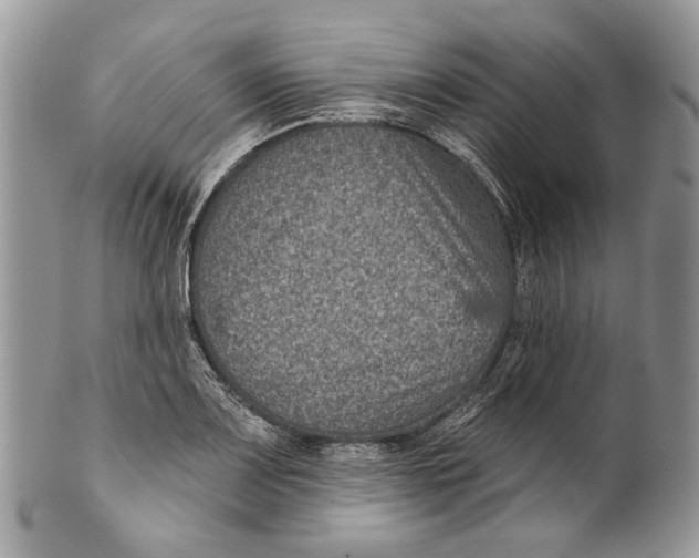 X0000101141083200807251021