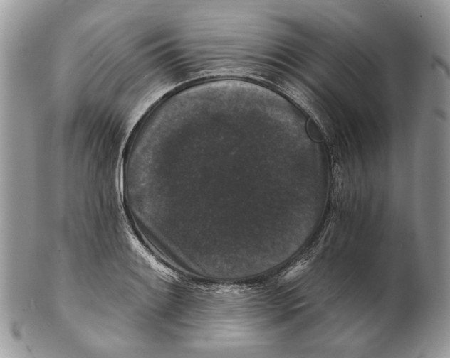 X0000101141084200807251021