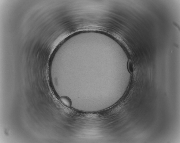 X0000101141085200807251021