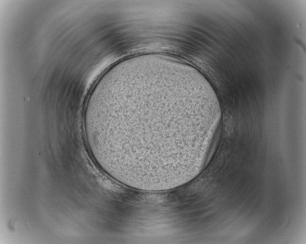 X0000101141086200807251021