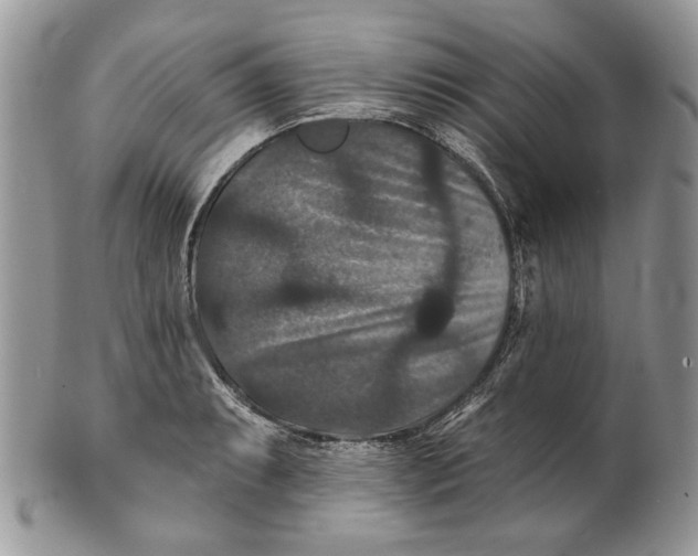 X0000101141087200807251021