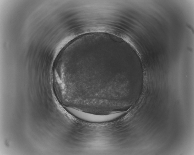 X0000101141088200807251021