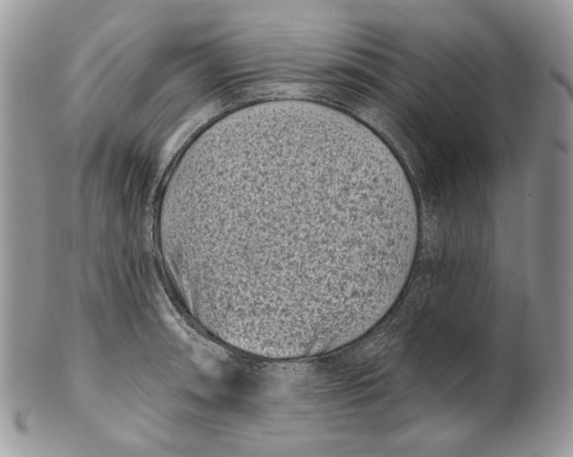 X0000101141090200807251021