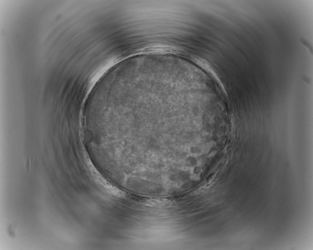 X0000101141091200807251021