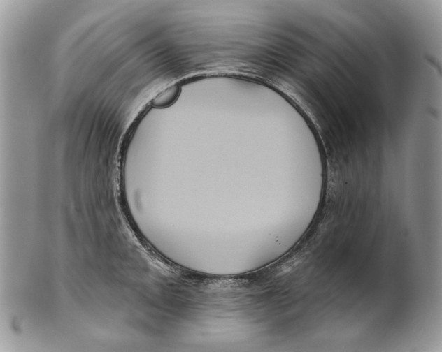 X0000101141093200807251021