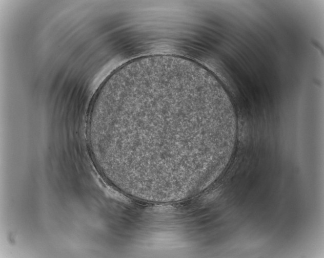 X0000101141094200807251021