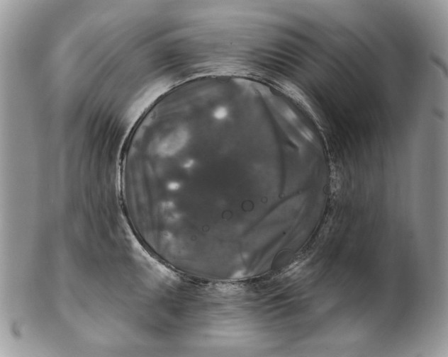 X0000101141095200807251021