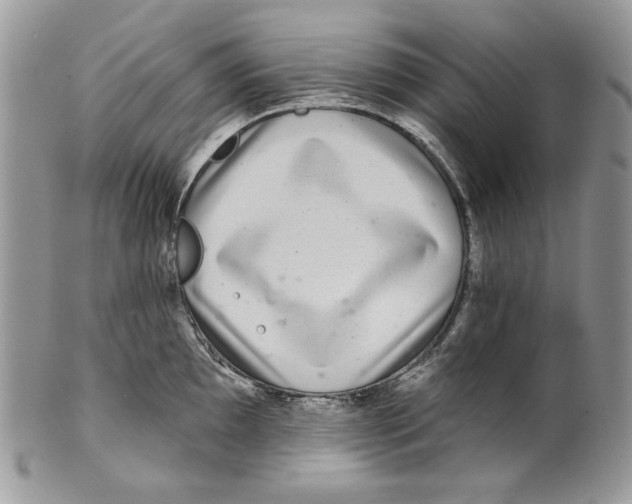 X0000101141097200807251021