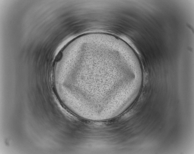 X0000101141101200807251020