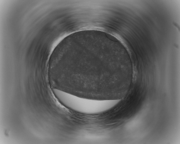 X0000101141102200807251020