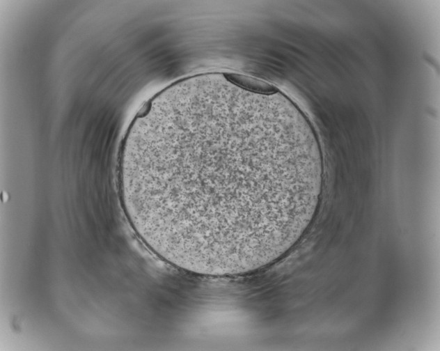 X0000101141104200807251020