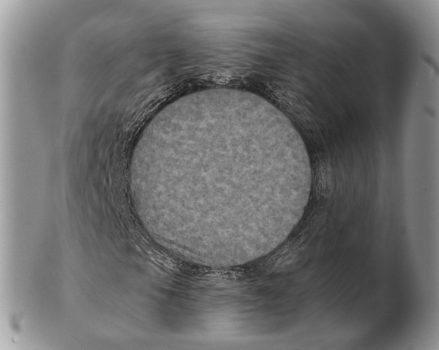 X0000101141105200807251019