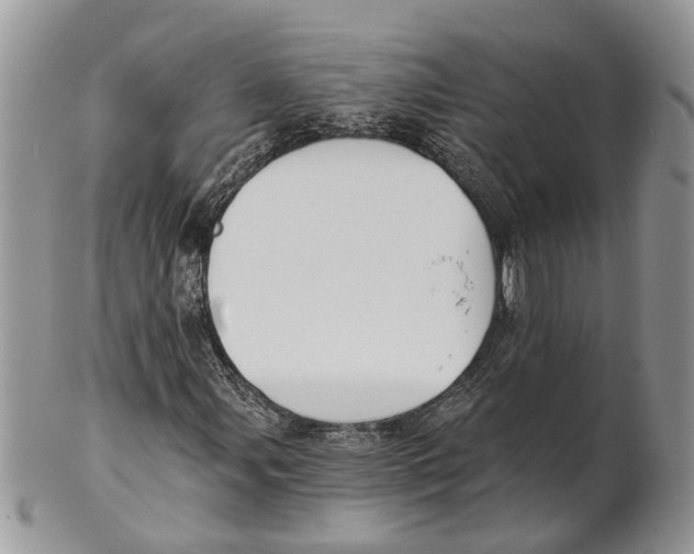 X0000101141107200807251019