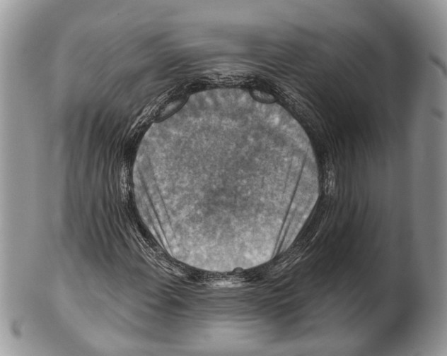 X0000101141108200807251019