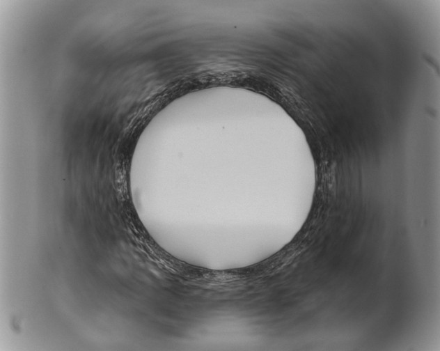 X0000101141109200807251019