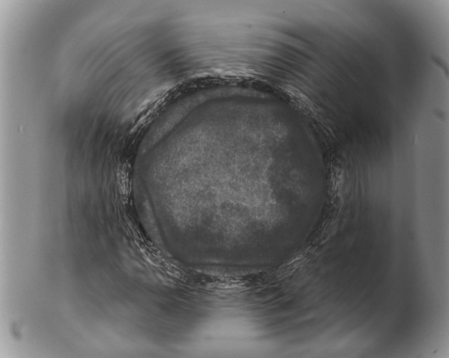 X0000101141110200807251019