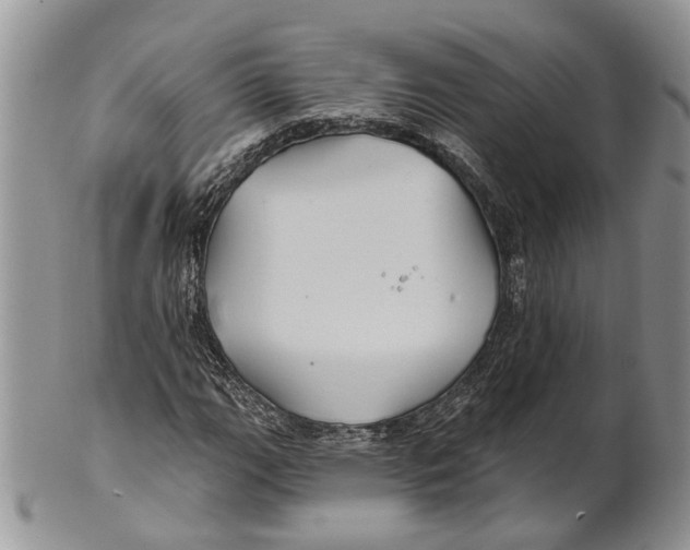 X0000101141111200807251019