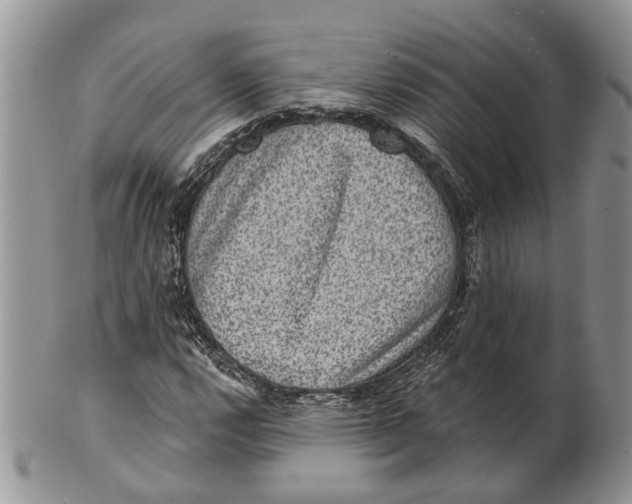 X0000101141112200807251019