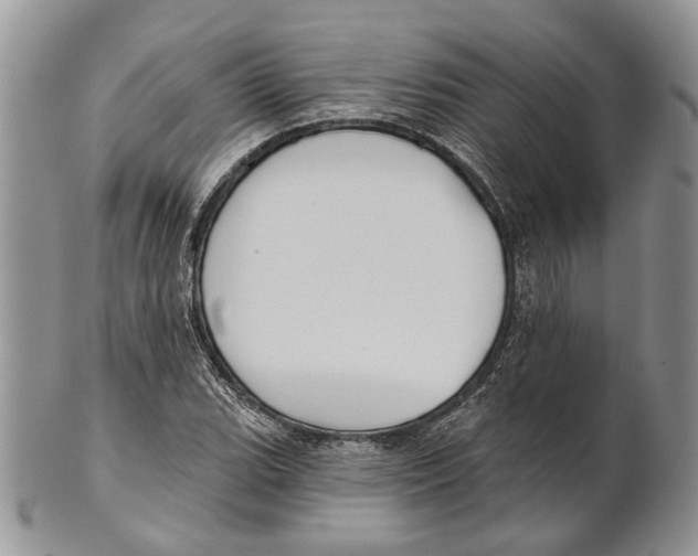 X0000101141119200807251020