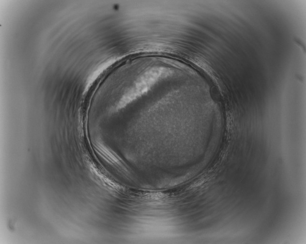 X0000101141120200807251020